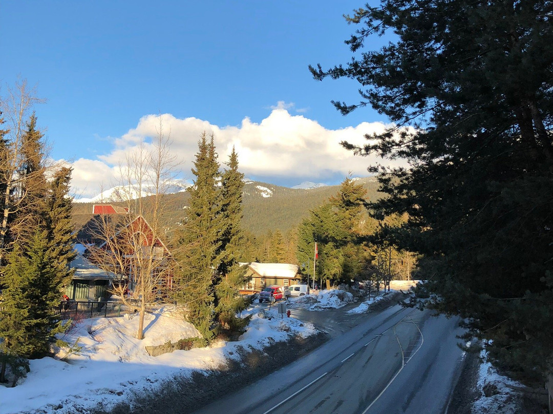 Whistler Valley Trail-惠斯勒必去景点
