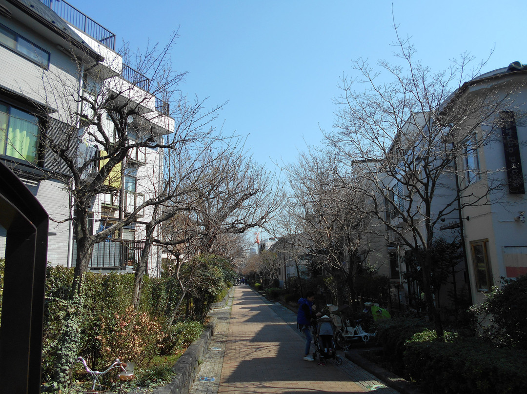 Karasuyamagawa Green Road景点图片