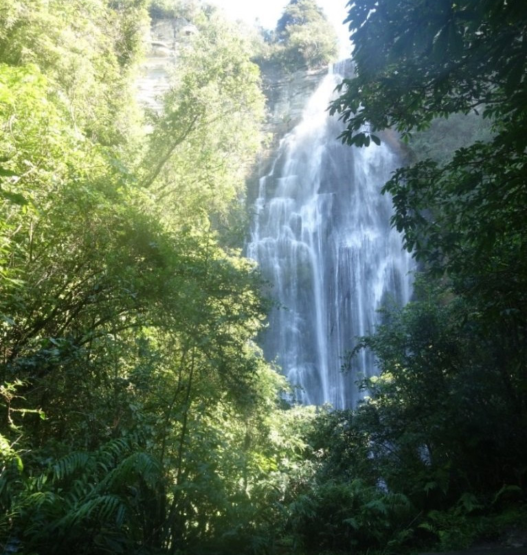 Shine Falls-纳皮尔必去景点