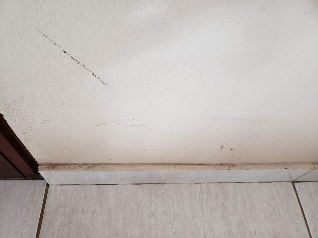 Victor Plaza Hotel主图