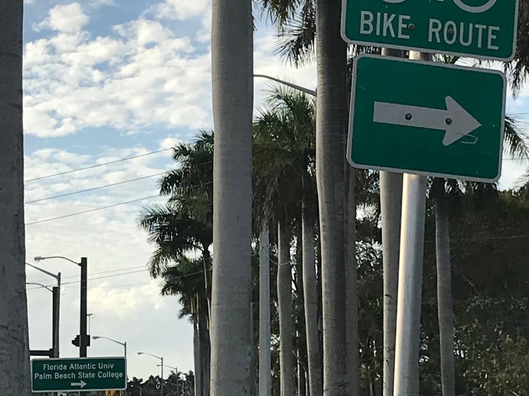 El Rio Trail-博卡拉顿必去景点