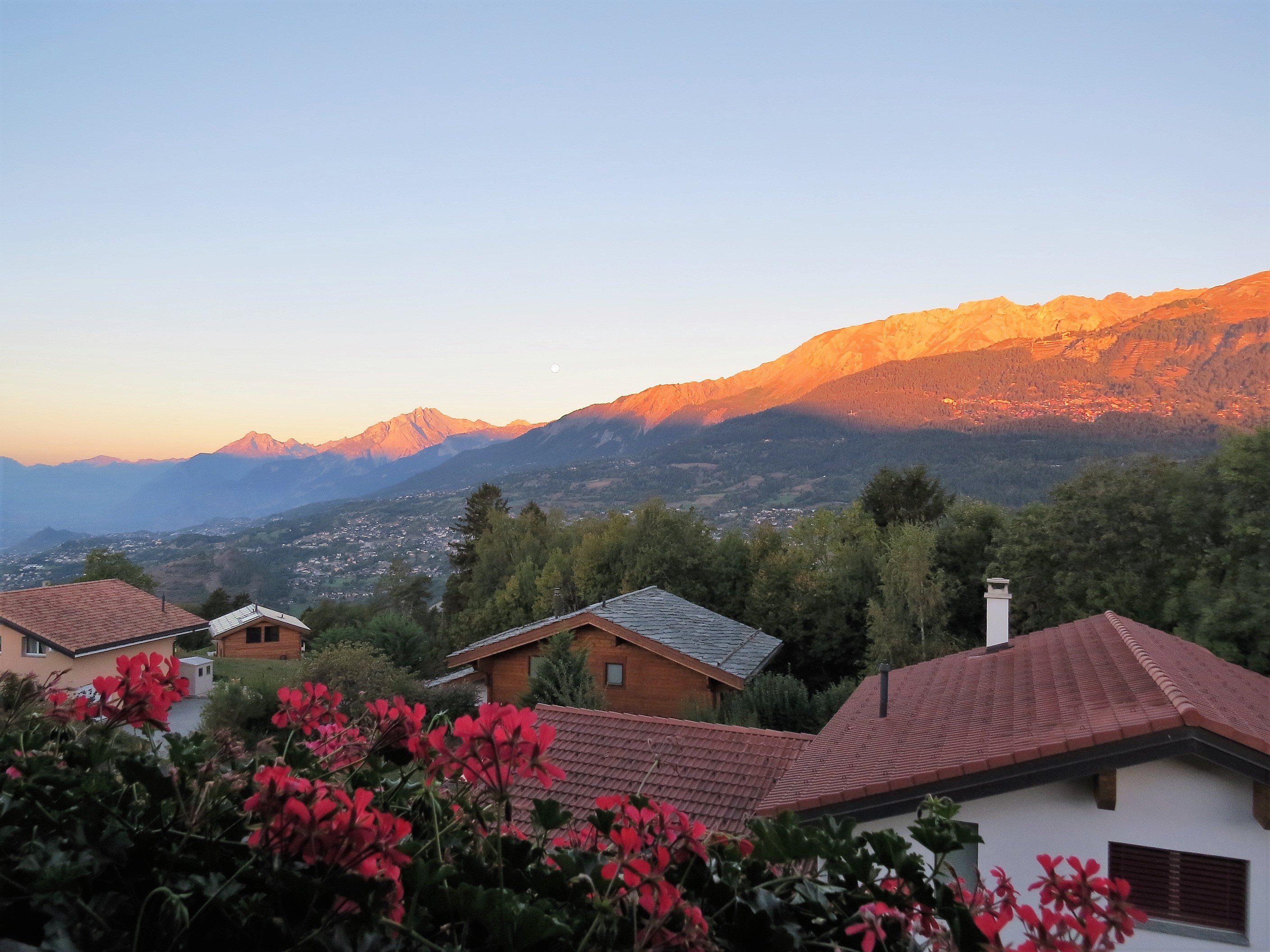 Chalet des Alpes-酒店景观