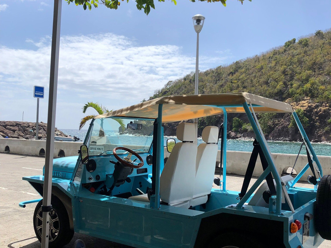 Iguana Locations-Terre-de-Bas必去景点