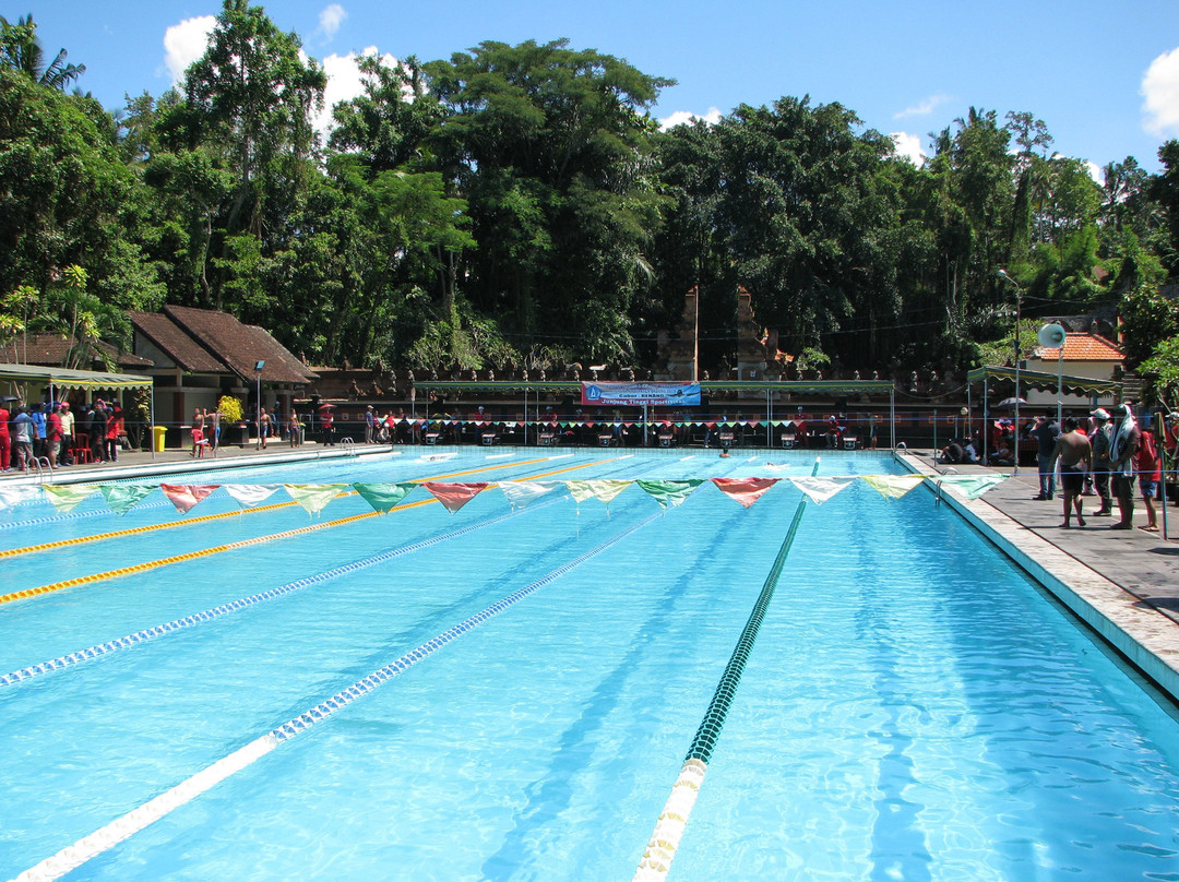 Tirta Arum Public Pool景点图片
