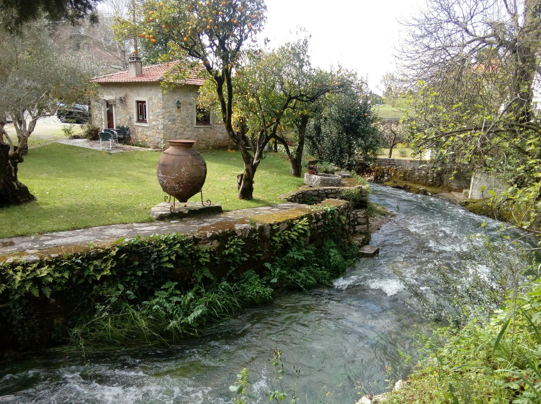 Quinta Rio Alcaide主图