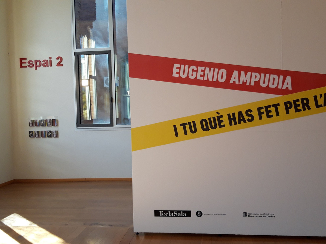 Centre d'art Tecla Sala景点图片