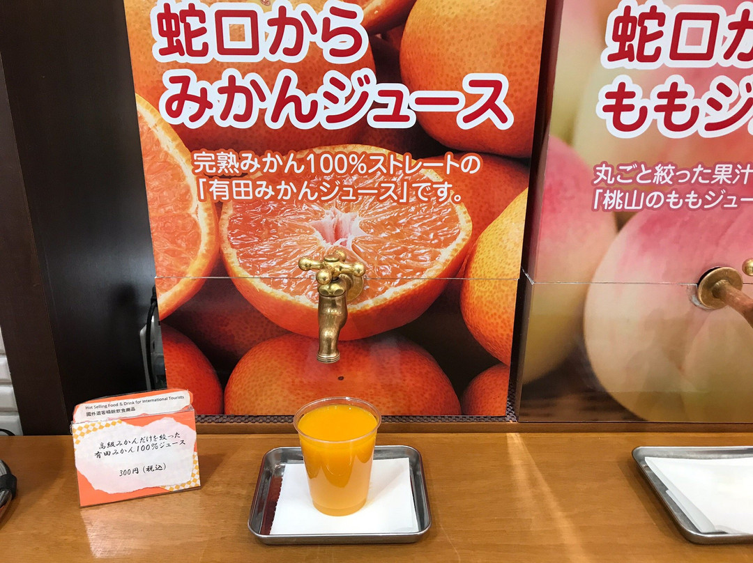 Wakayama Mio-和歌山市必去景点