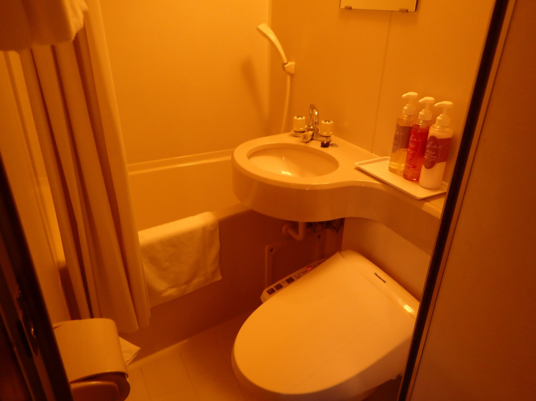 Kakegawa Station Hotel主图