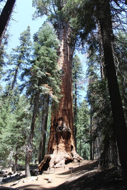 Chief Sequoyah-Three Rivers必去景点