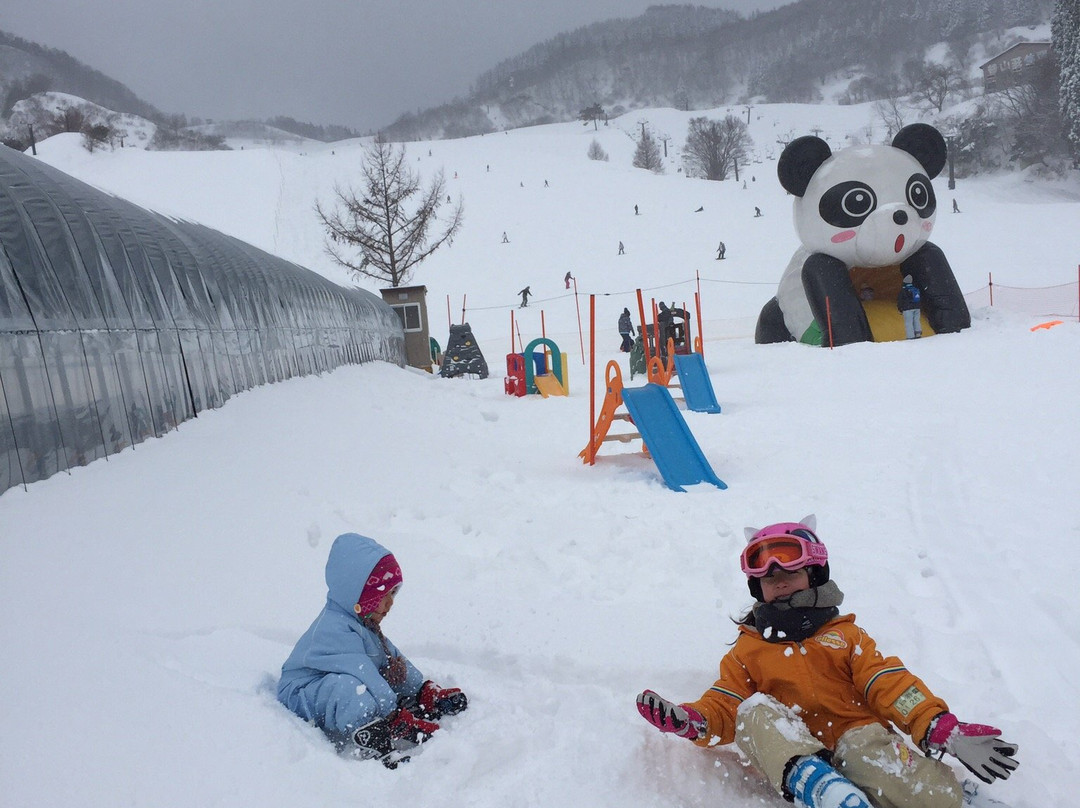Ojiro Ski Place景点图片