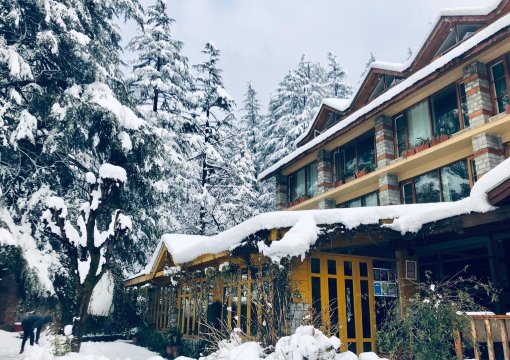 约翰逊小屋-官方
