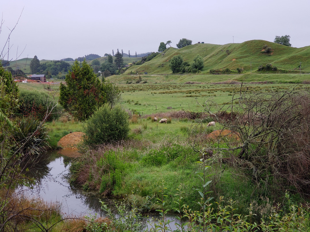 伍德莱公园酒店主图