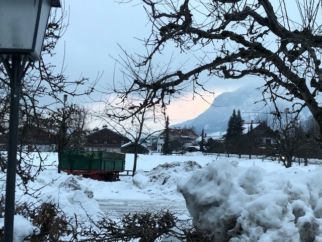 Hotel Alpenhof主图