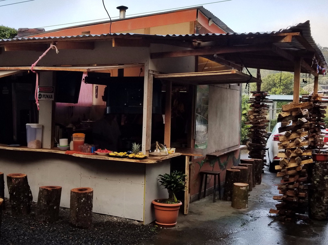 Hammock House Hostel主图