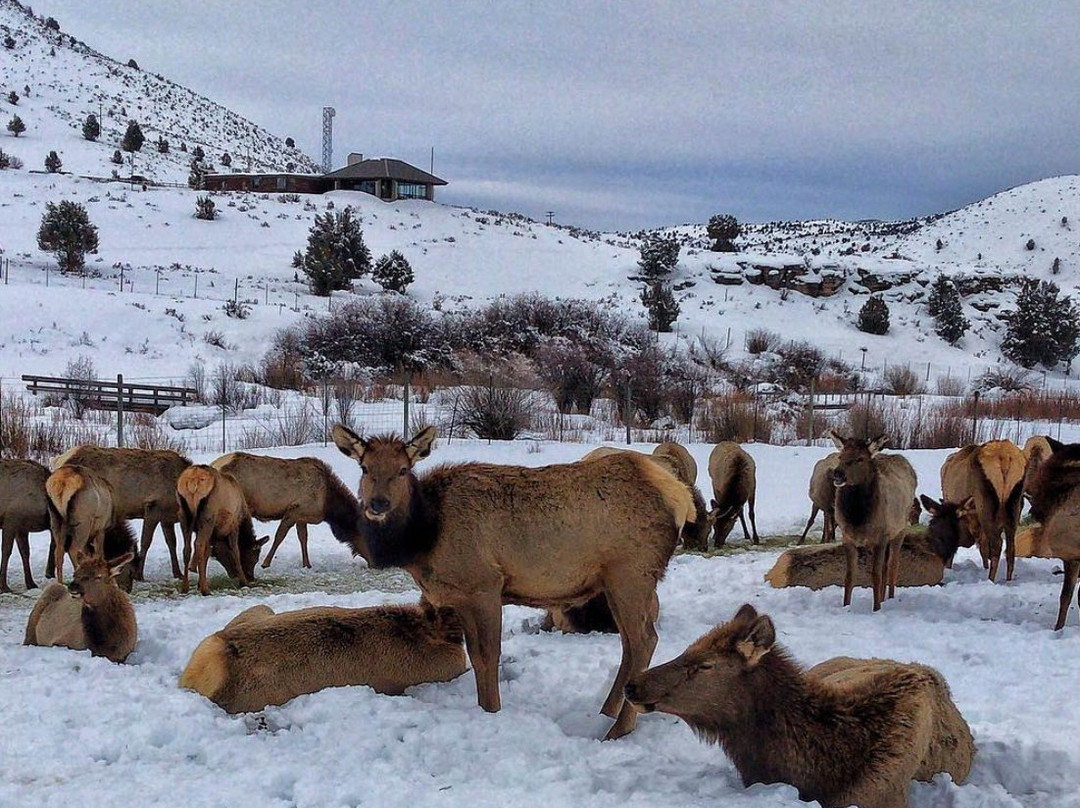 Hardware Ranch-洛根必去景点