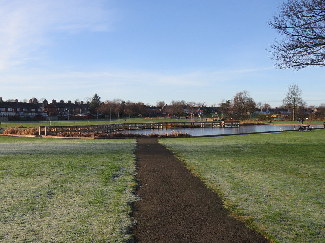 Rosyth Public Park景点图片