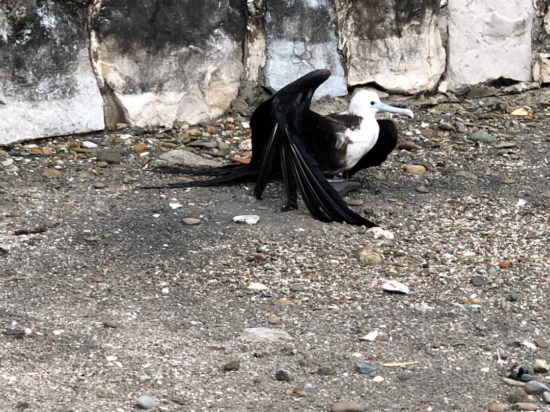 Villa de Los Suenos主图