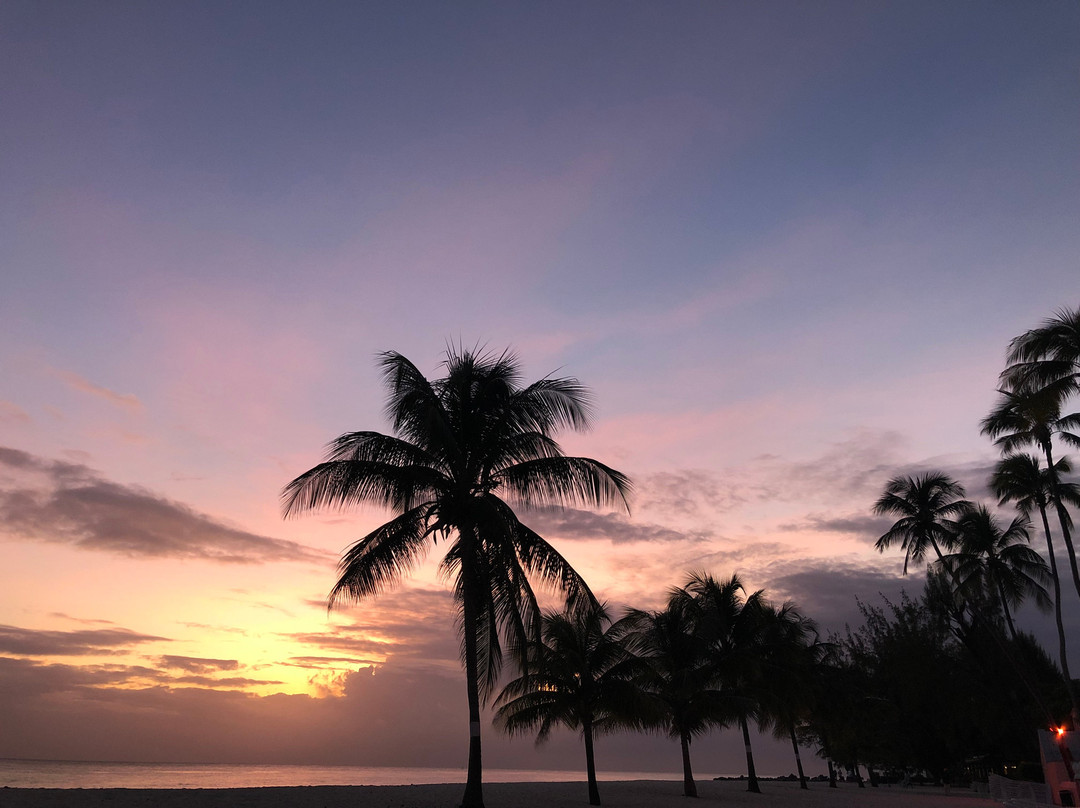 Dover Woods Guesthouse主图