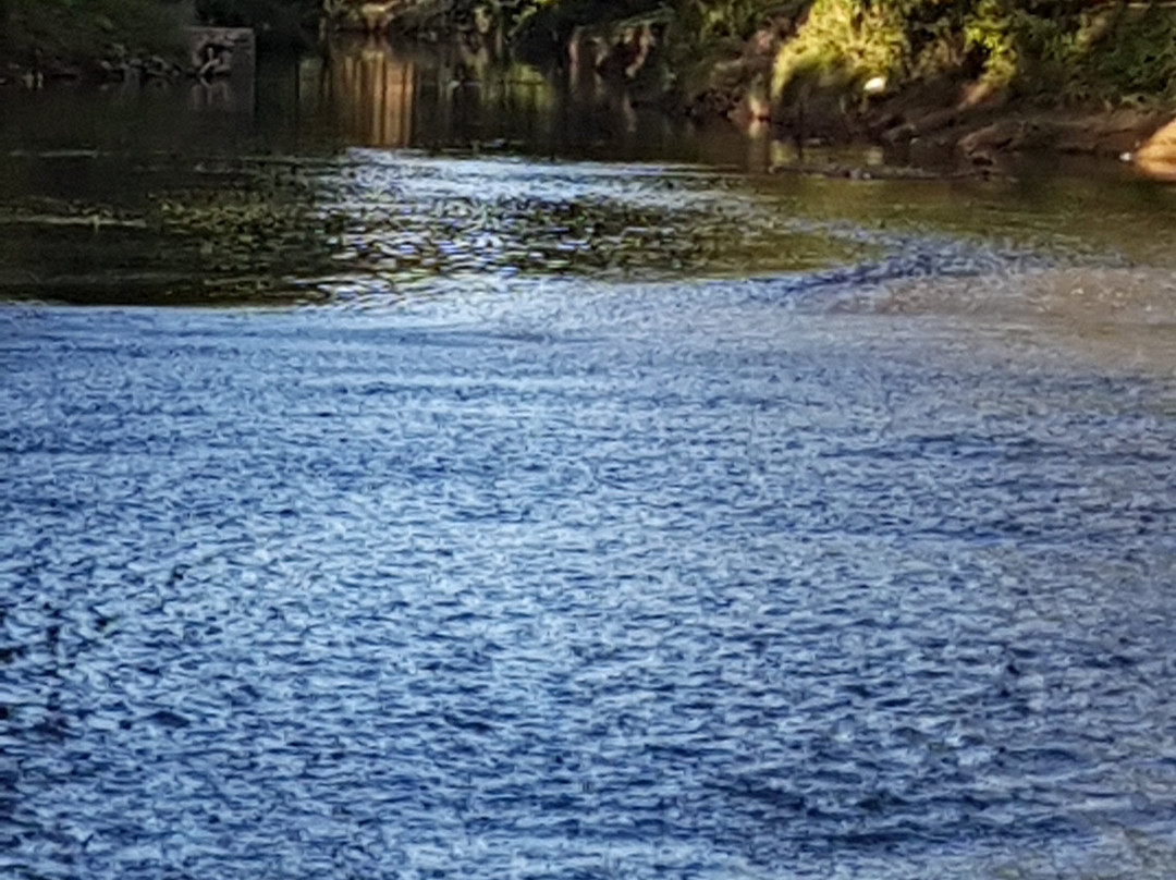 Parque Municipal Mercedes Pcia. de Buenos Aires景点图片