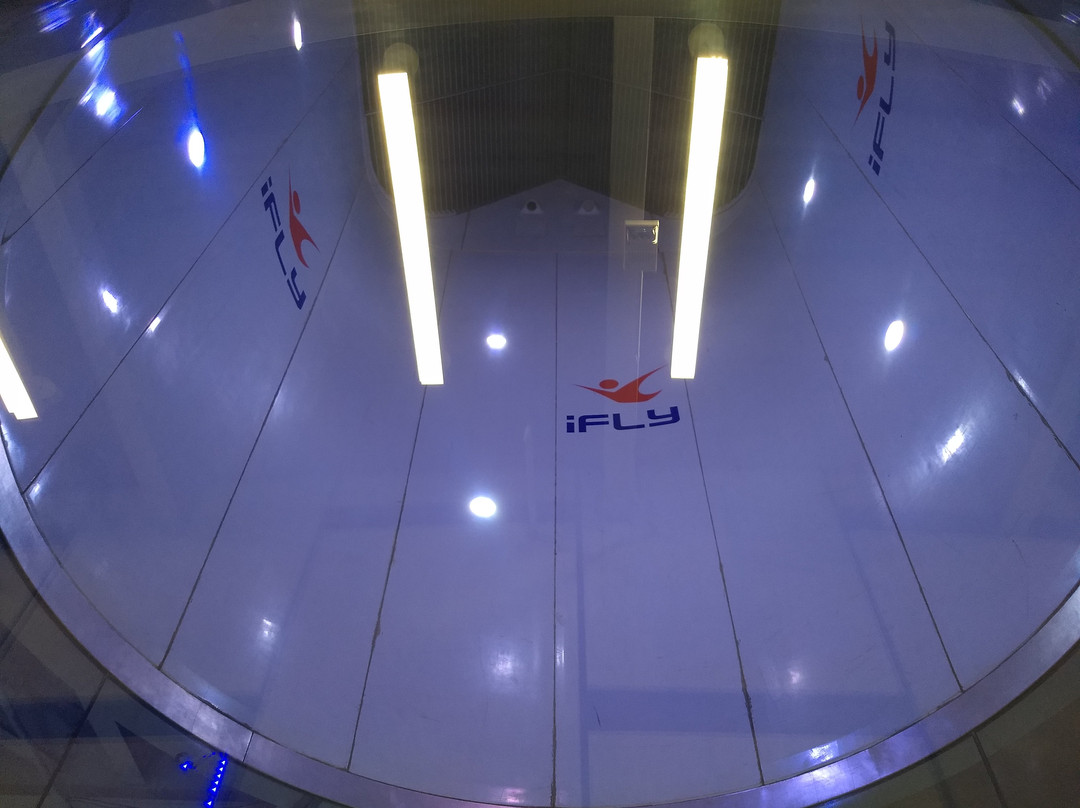 iFLY Indoor Skydiving - Loudoun景点图片