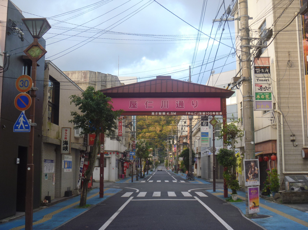 Yanigawa Shopping Street-奄美市必去景点