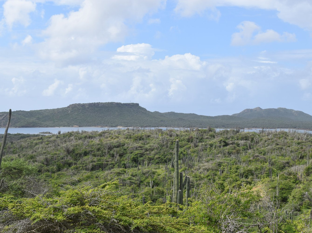 Dos Pos-Rincon必去景点