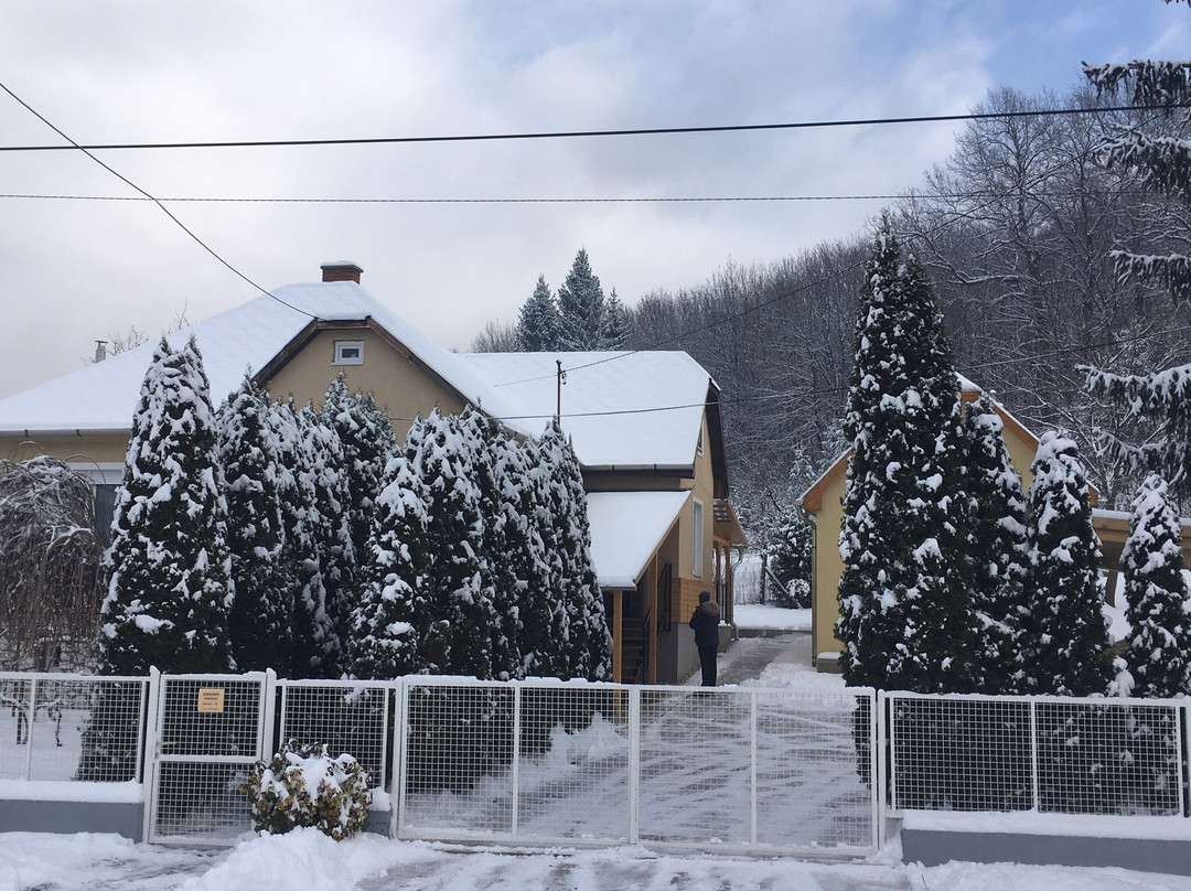 Kiskoma Guesthouse主图