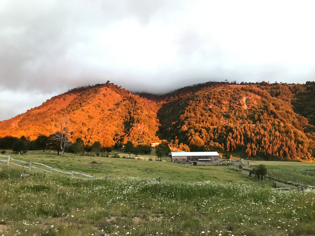 Fundo Laguna Blanca Resort主图