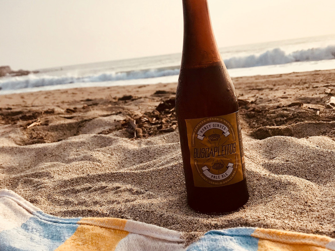 Charly Escondido Surf-埃斯孔迪多港必去景点