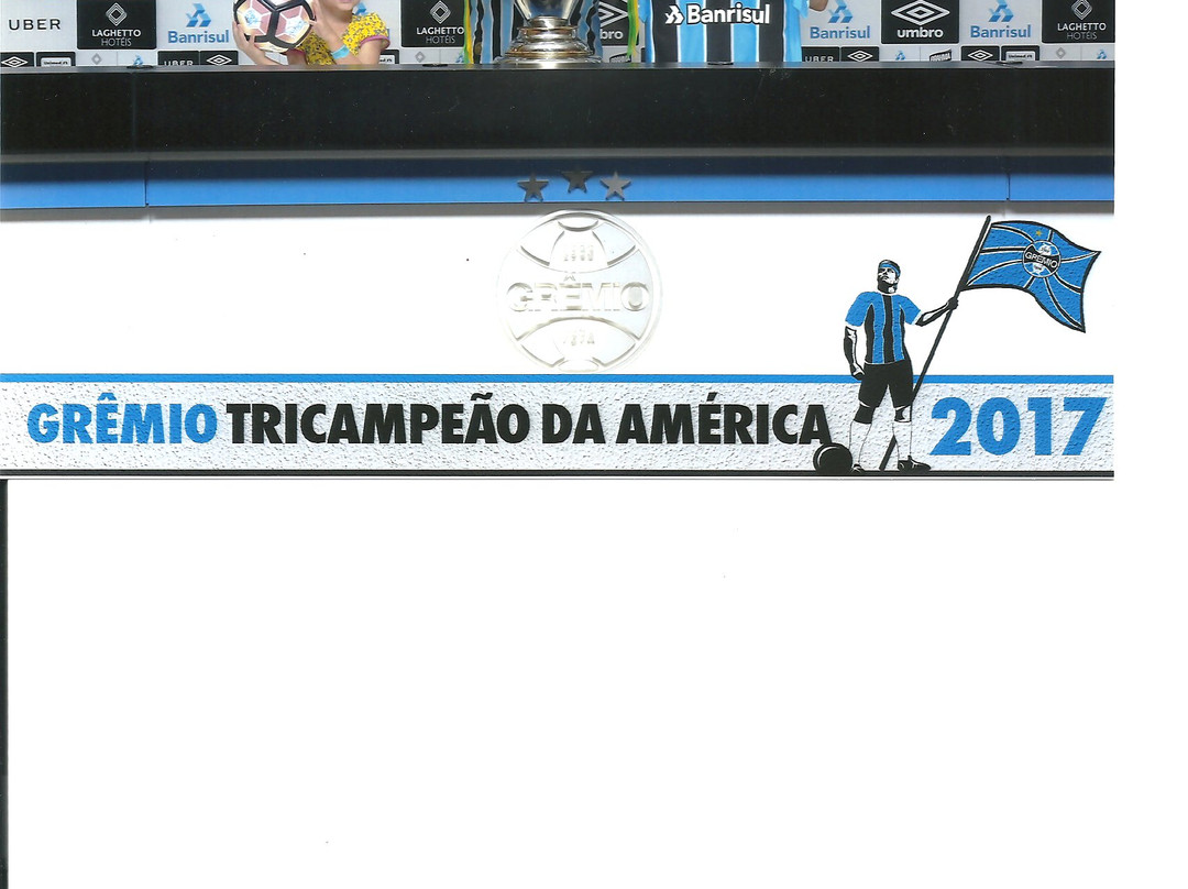 Arena do Grêmio景点图片