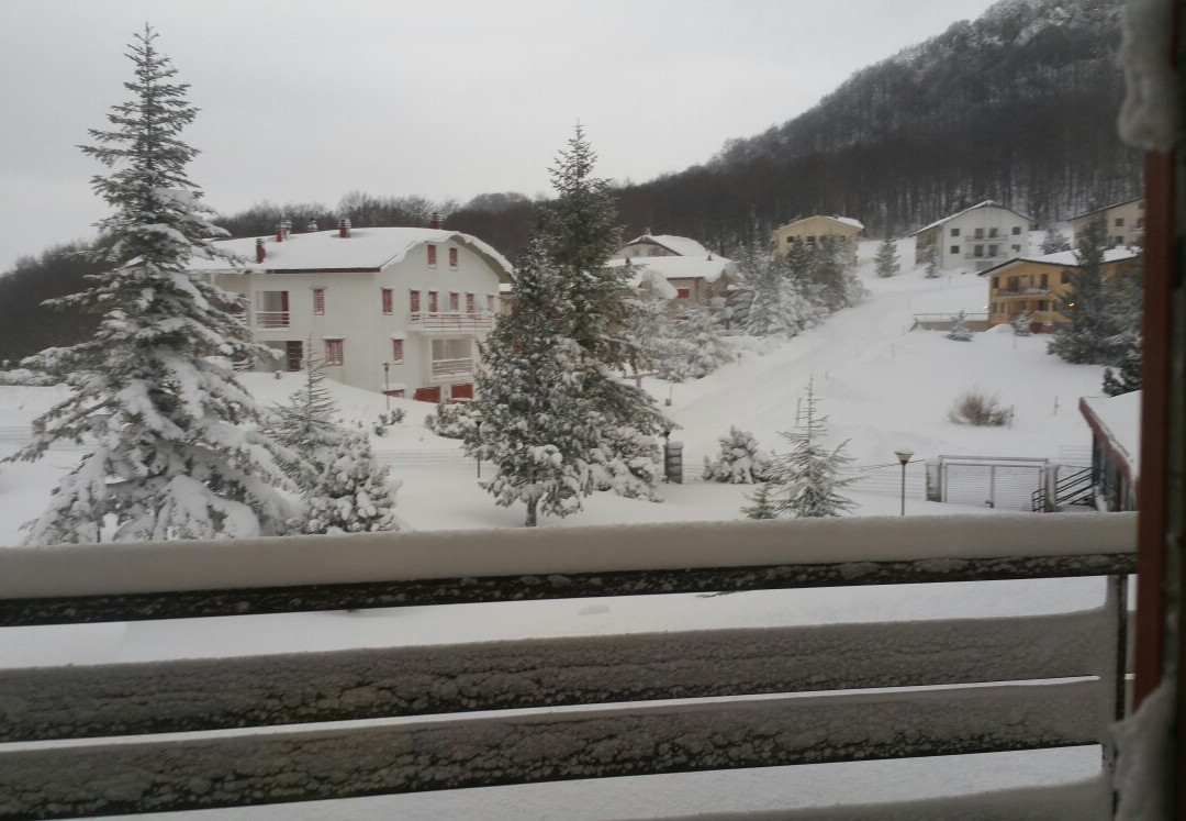 Delberg Palace Hotel主图