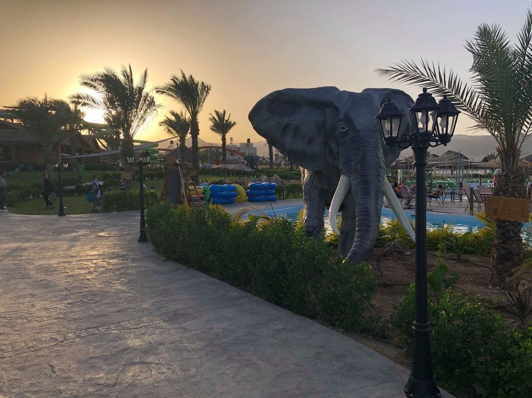 Safari Aquapark-Jericho必去景点