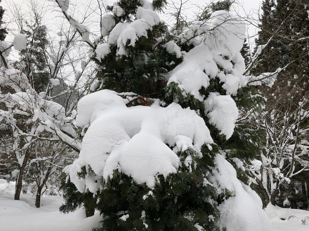 Banshu Tokura Snow Park景点图片