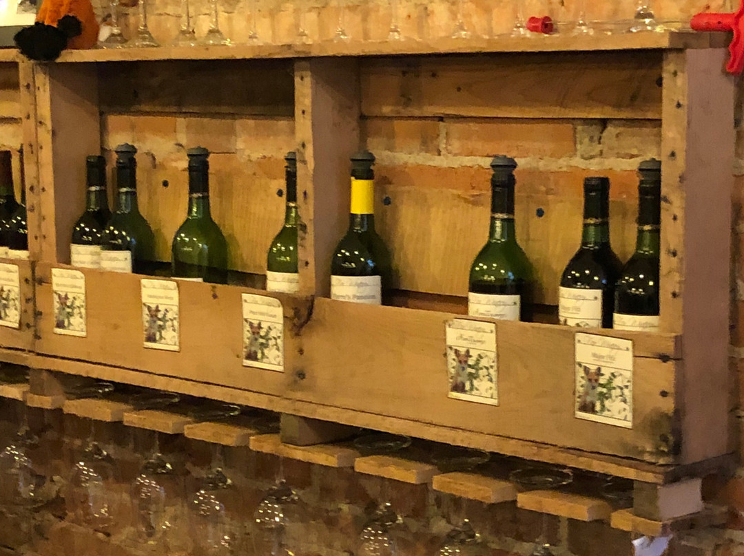 Fox Winery景点图片