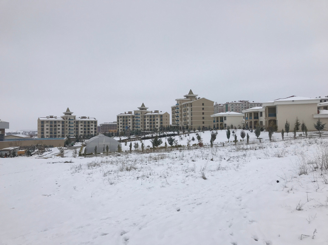 Grand Özgül Termal Tatil Köyü主图