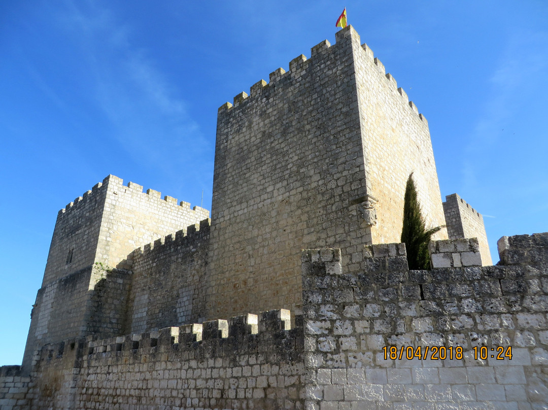 Castillo de los Aguilar-Encinas de Esgueva必去景点