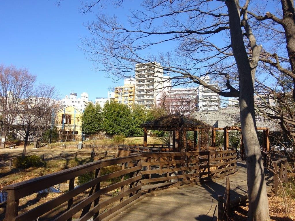 Dokushonomori Park-Ogikubo必去景点