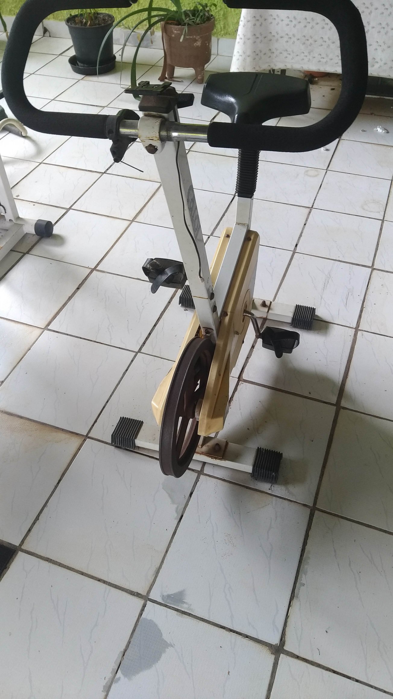 Recanto Haras São Roque-portrait