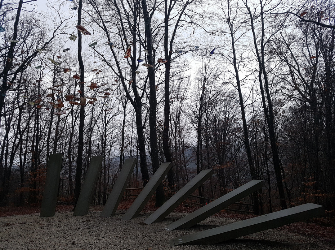 Zauberwald-Waldkirchen必去景点