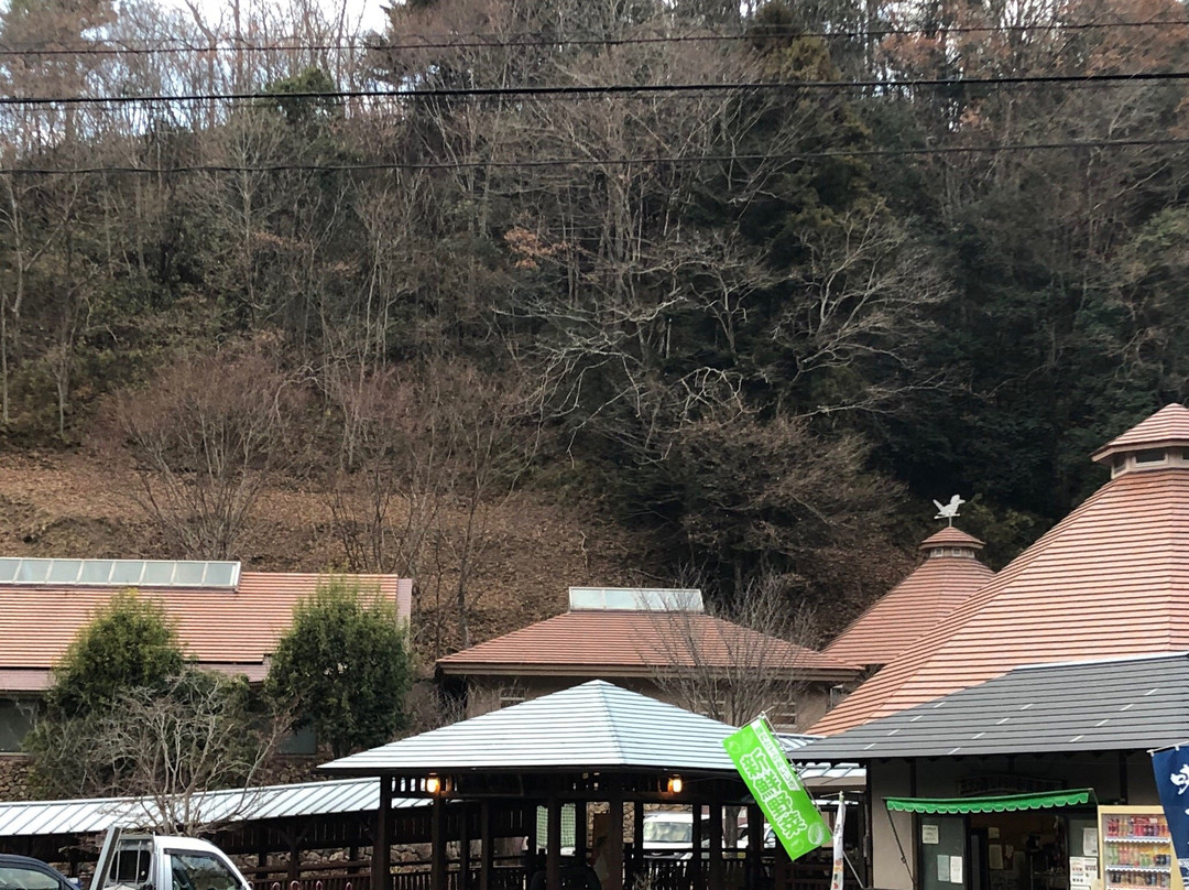 Yamagata Sukoyaka Land Santa no Yu景点图片