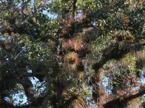 Ten Mile Creek Preserve-匹尔斯堡必去景点