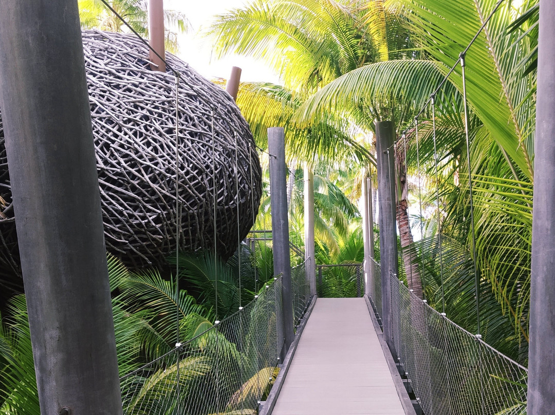 白兰度山林小屋主图