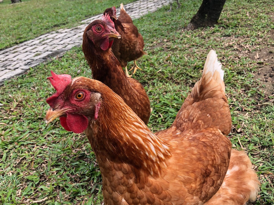 Kalaka Homestay主图