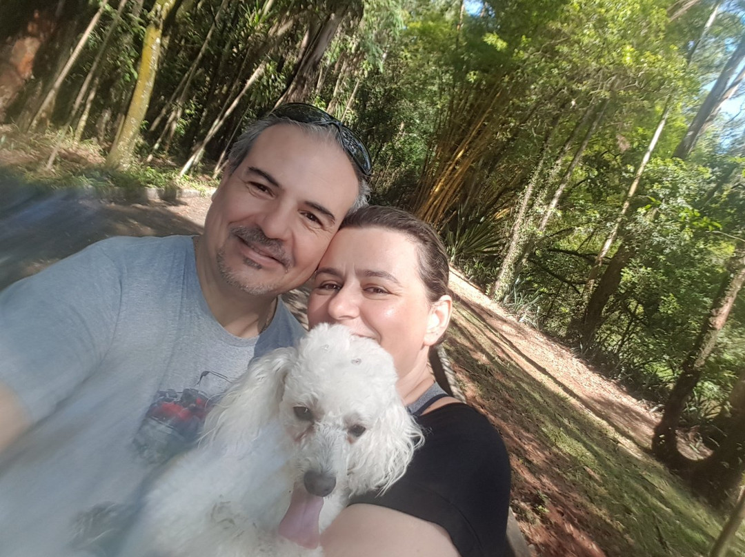 Parque Natural Chico Mendes-索罗卡巴必去景点