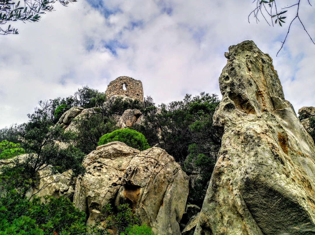 Castello di Sa Paulazza景点图片