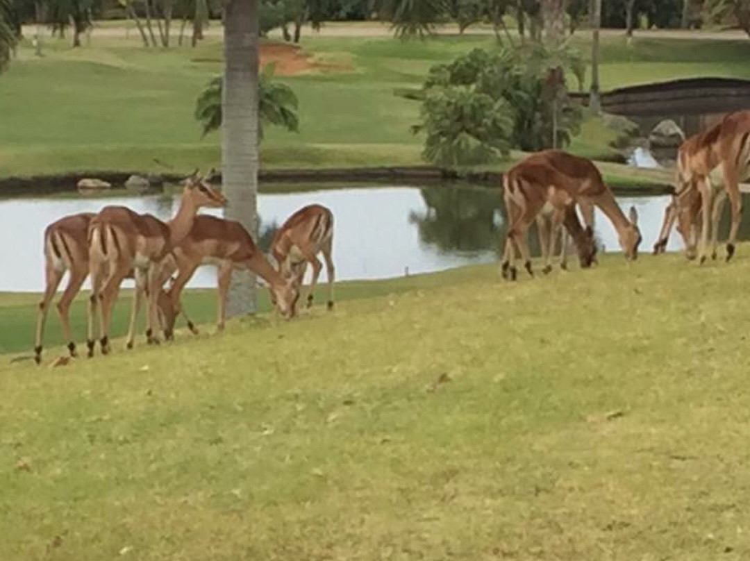 Zimbali Golf Course-德班必去景点