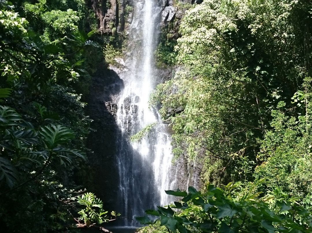 Wailua Falls景点图片