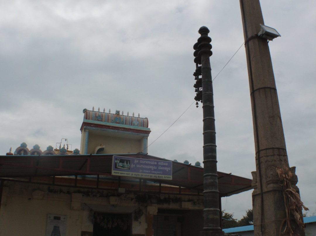 Ranganathaswamy Temple景点图片
