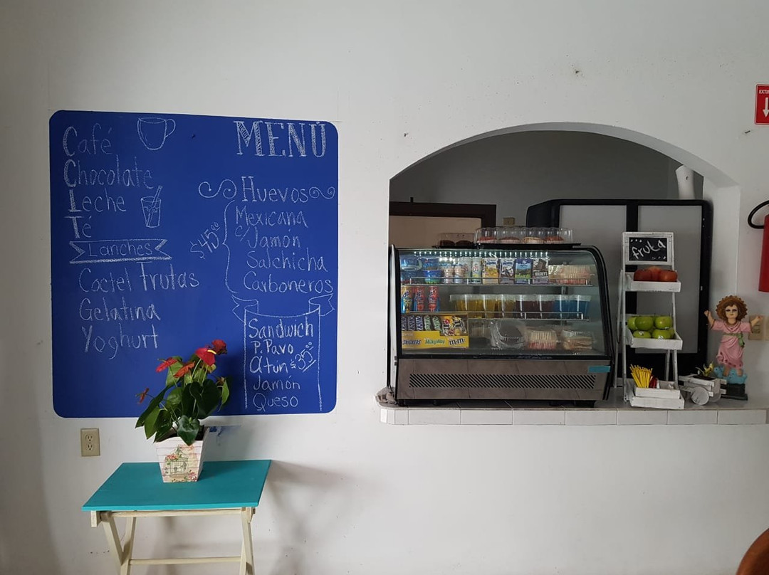 Hotel Diana Cazadora主图