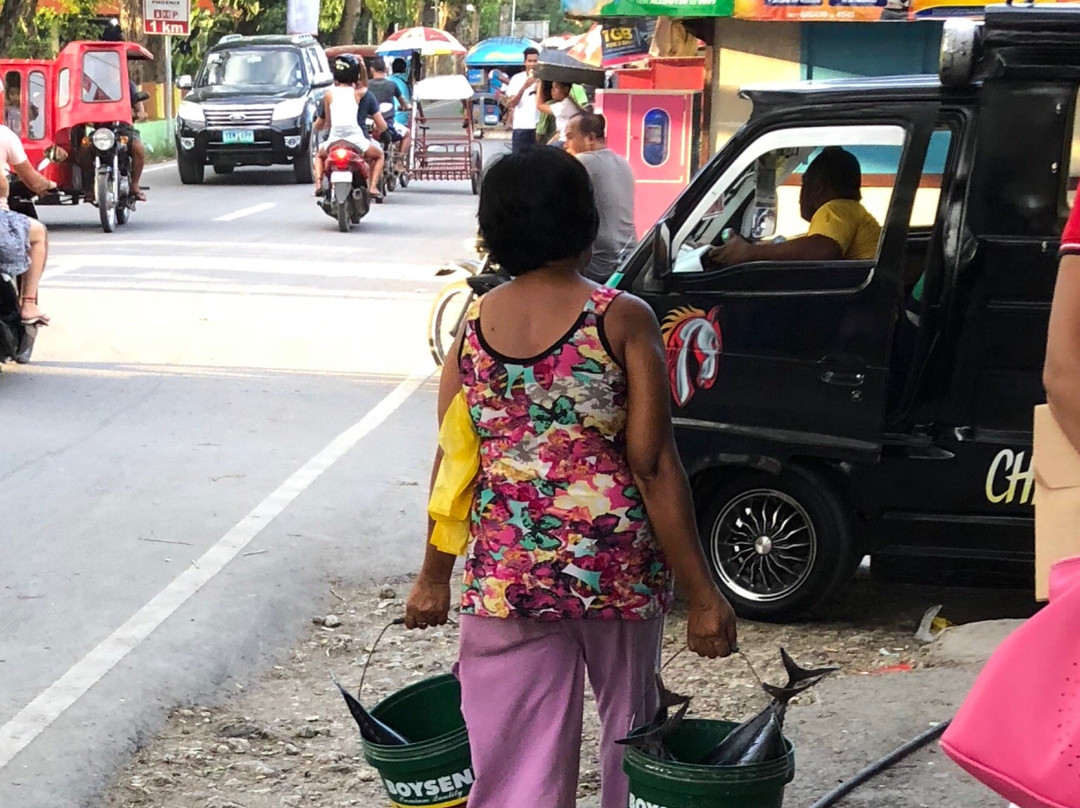 Fish and Meat Market-莫阿尔博阿尔必去景点